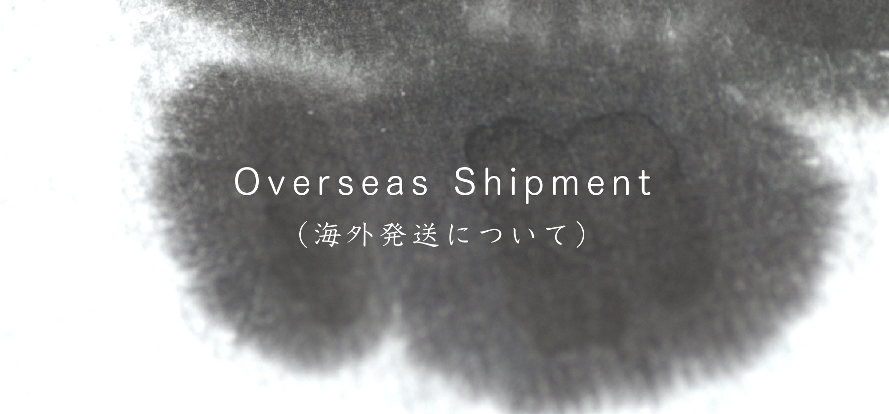 Overseas Shipment